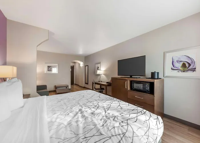 Best Western Plus Buda Austin Inn & Suites