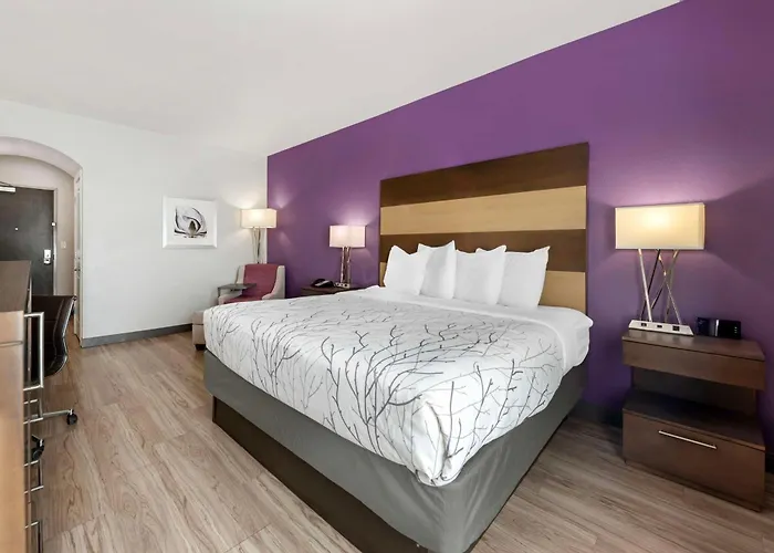 Best Western Plus Buda Austin Inn & Suites